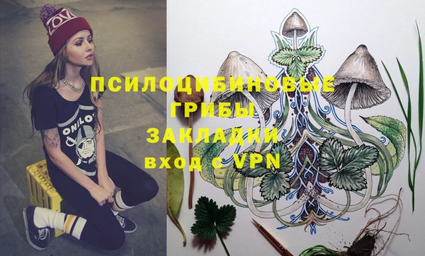 экстази Алексин
