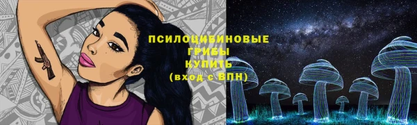 экстази Алексин