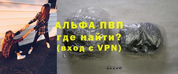 прущие грибы Аркадак