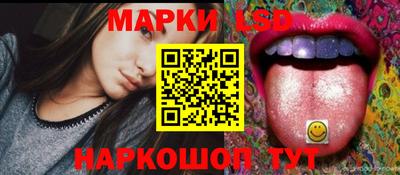 Альфа ПВП Дубна