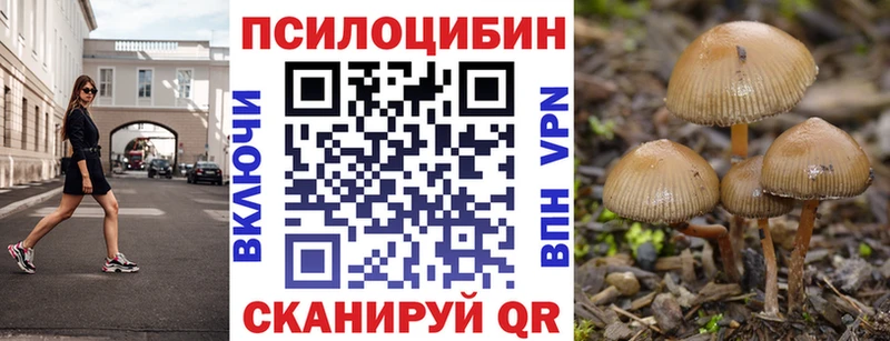 ОМГ ОМГ ссылка  Камышин  Галлюциногенные грибы GOLDEN TEACHER 